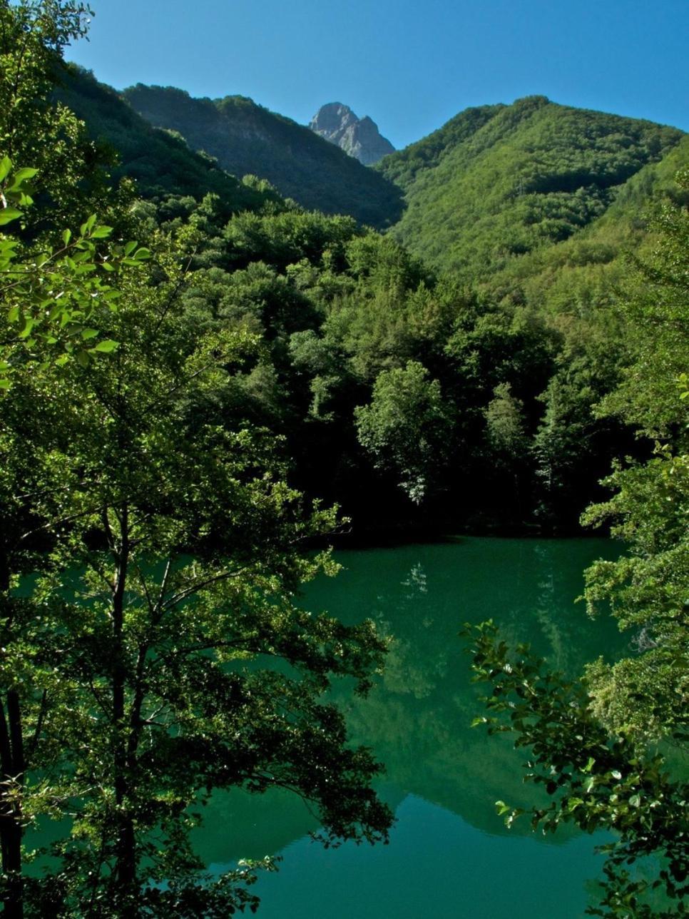 Borgo