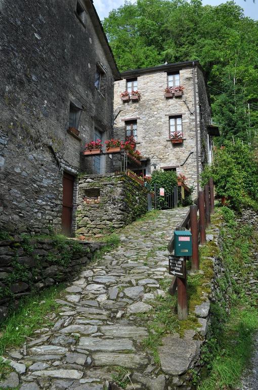 Borgo